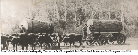 Jack Groundwater, Frank Benson, Jack Thompson, timber getting teams circa 1925 Bauple Mountain. Gundiah.